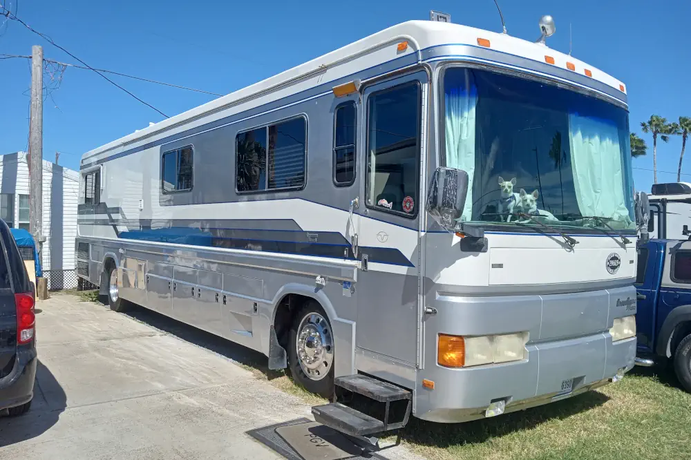 Our RV parked at our site in Port Isabel Park Center, with the dogs in the window